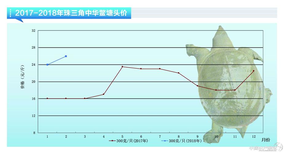 甲鱼价格现在啥走势？未来会涨还是跌？-图1