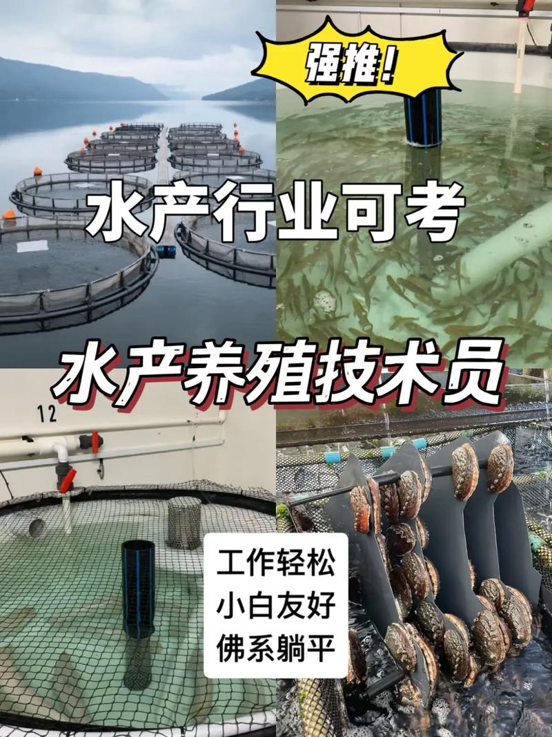 水产病害防控技术如何有效应用？-图3