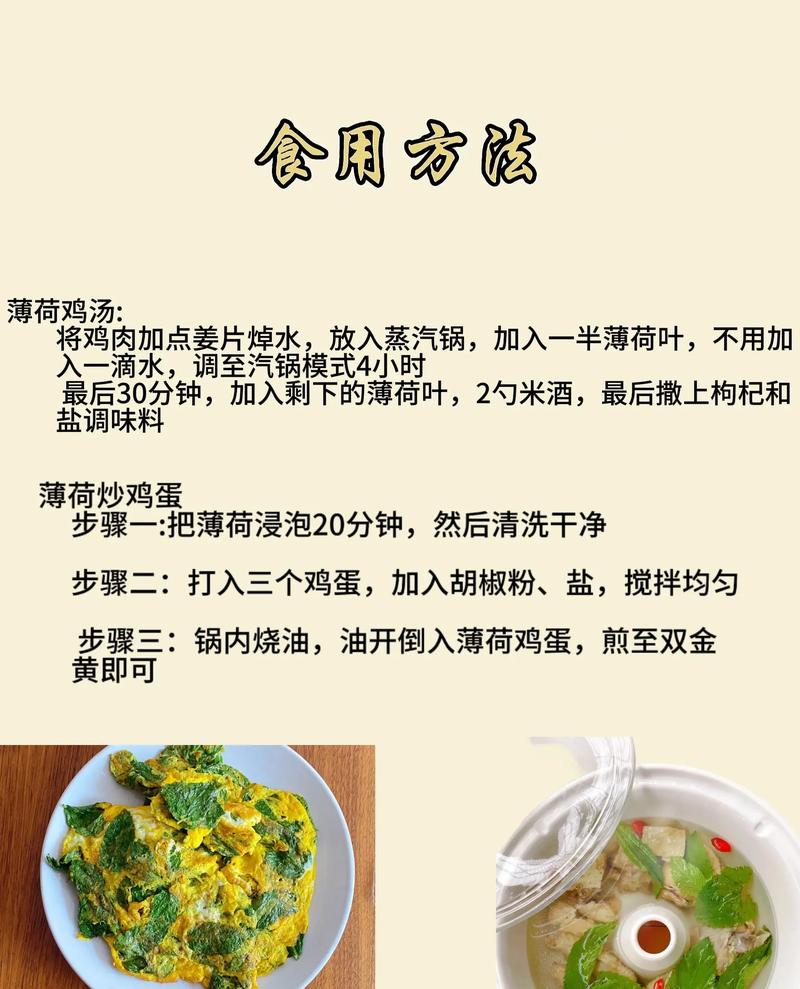 鲜薄荷一斤多少钱？-图1
