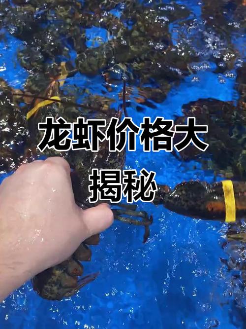 龙虾价格一斤多少？-图1