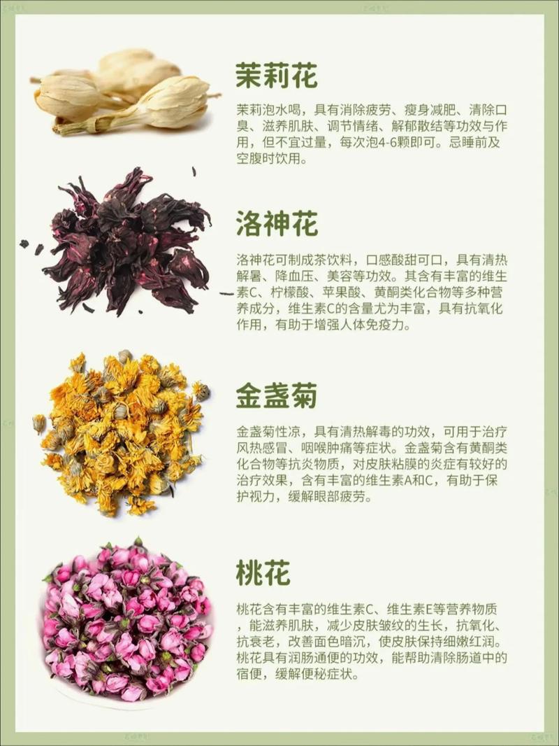 茶花的品种与图片大全-图2
