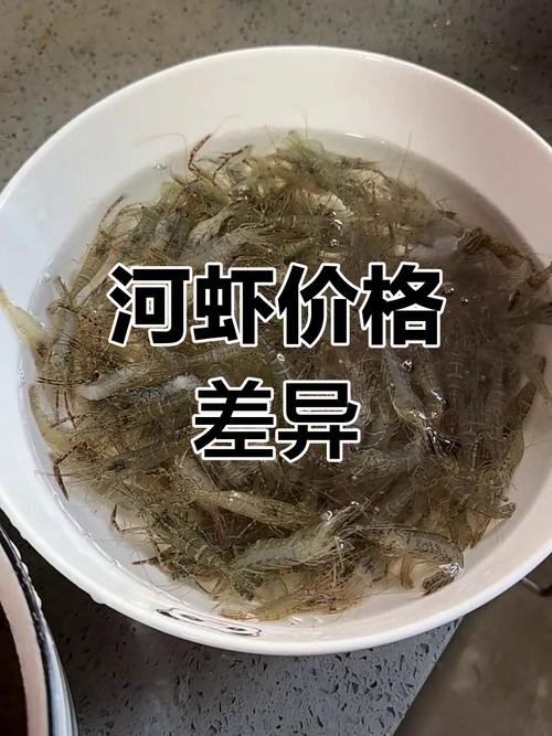 河虾批发价今日行情如何?-图1 河虾批发价今日行情如何?-图1