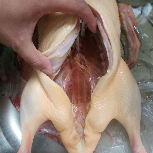 樱桃谷鸭肉鸭养殖技术有哪些关键要点？-图1