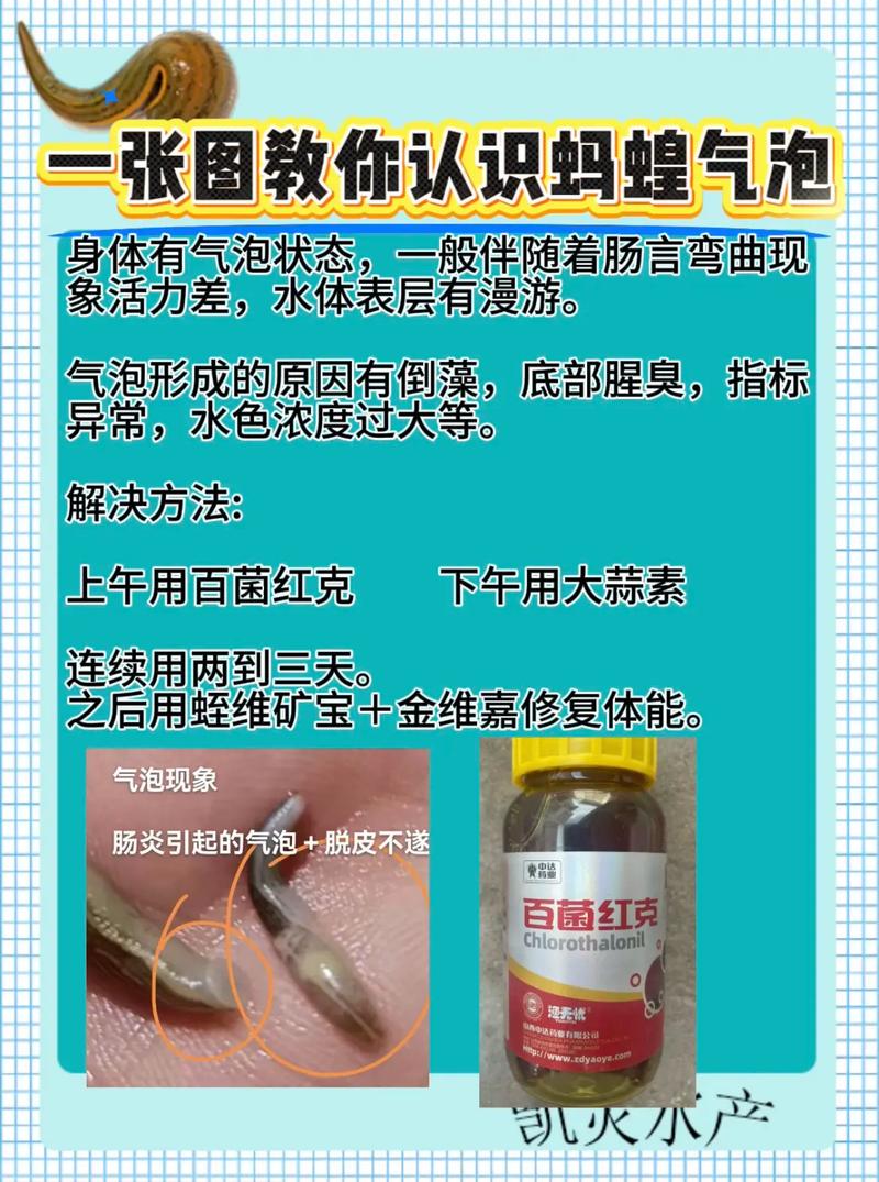 蚂蝗养殖技术视频教程怎么学？-图2