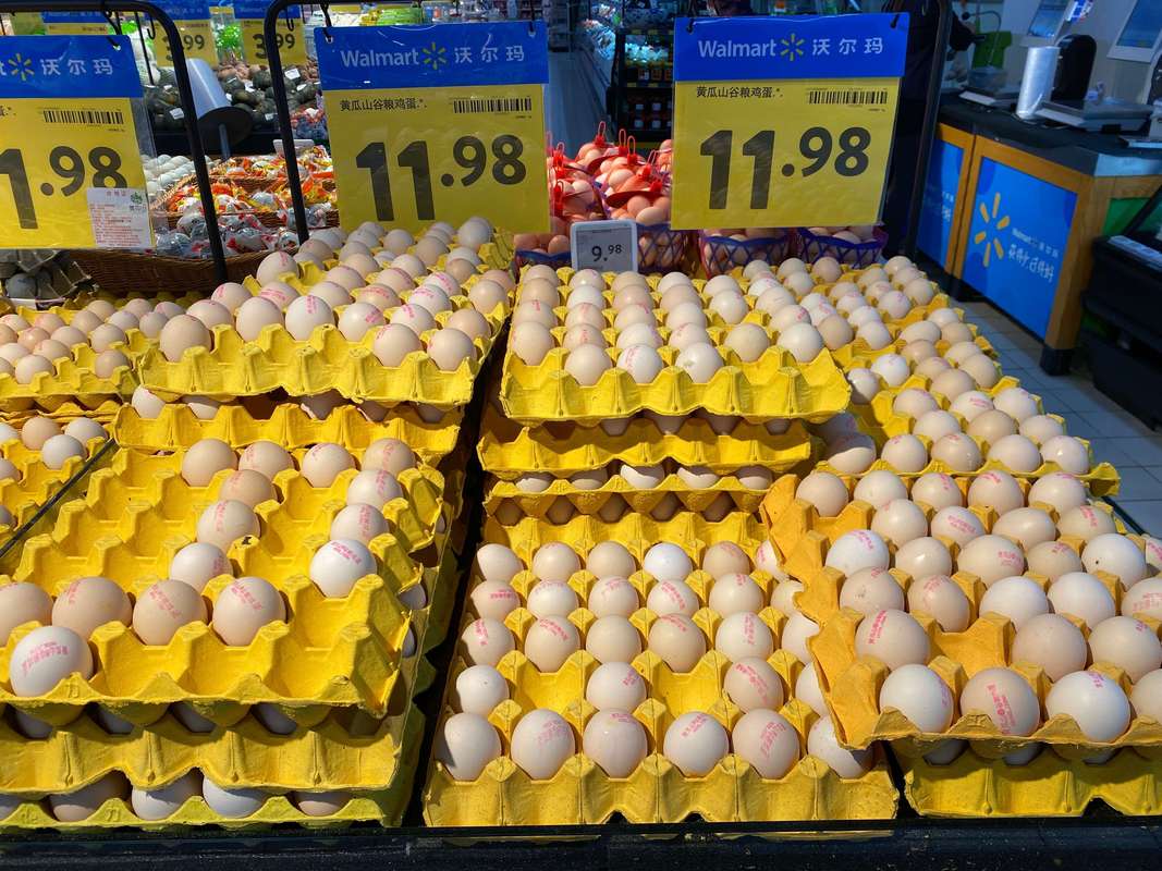 全国鸡蛋批发价格有何波动趋势?-图2 全国鸡蛋批发价格有何波动趋势?-图2