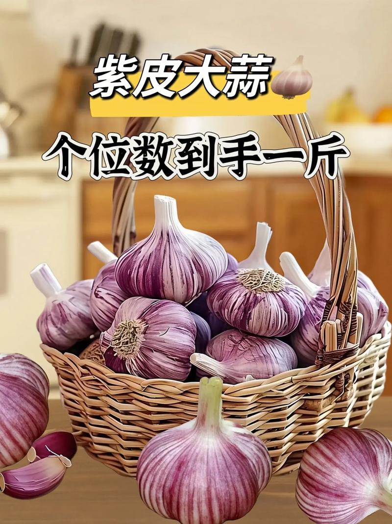 大蒜头价格多少钱一斤?-图2 大蒜头价格多少钱一斤?-图2