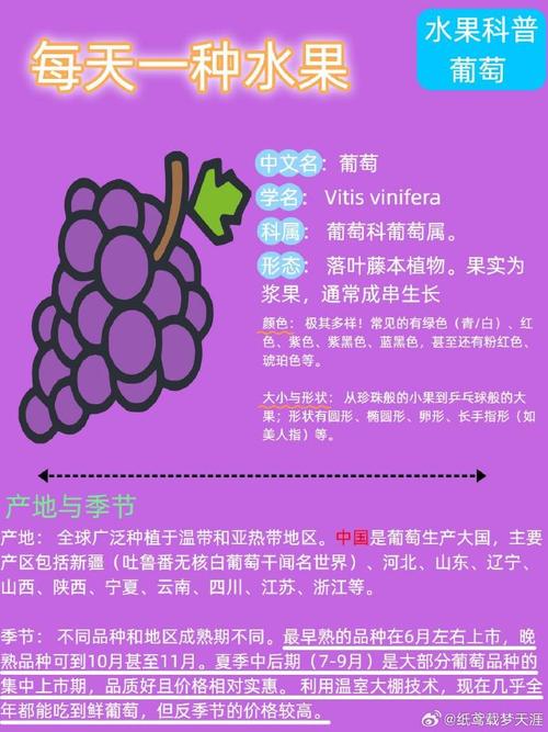 葡萄品种繁多,如何辨识?-图3 葡萄品种繁多,如何辨识?-图3