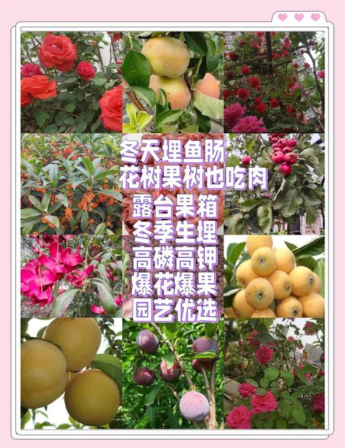 小型水库养鱼施肥技术怎么操作？-图2