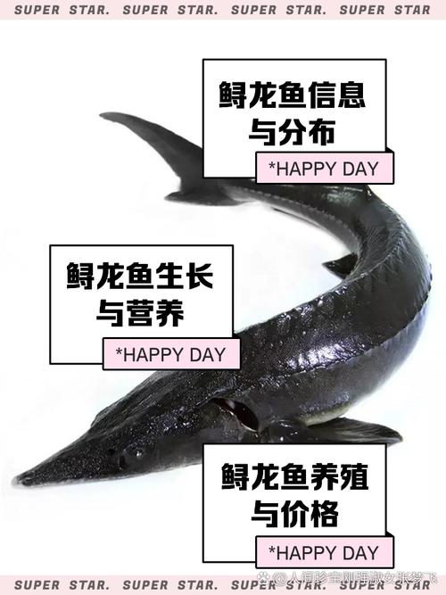 鲟鱼养殖技术视频教程,新手能学会吗?-图3 鲟鱼养殖技术视频教程,新手能学会吗?-图3