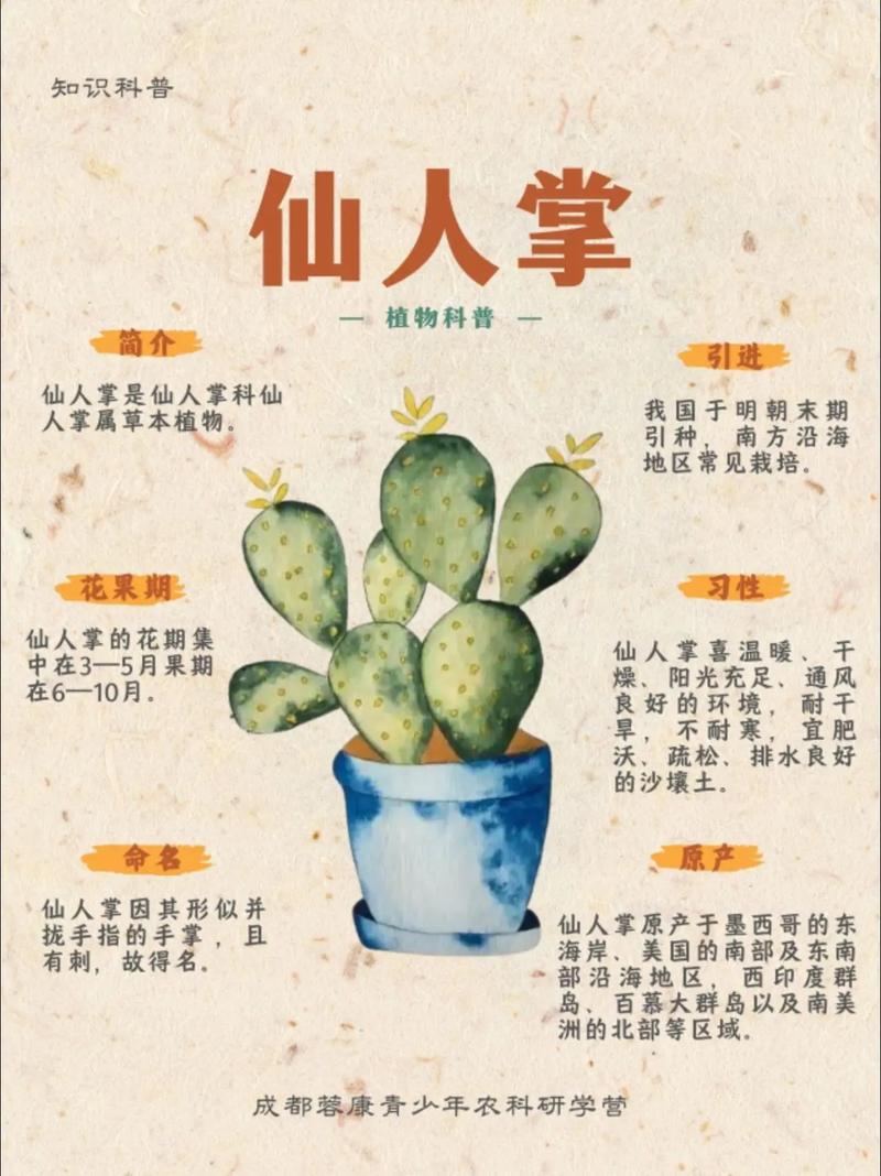 仙人掌品种有多少?看图识种全攻略?-图1 仙人掌品种有多少?看图识种全攻略?-图1