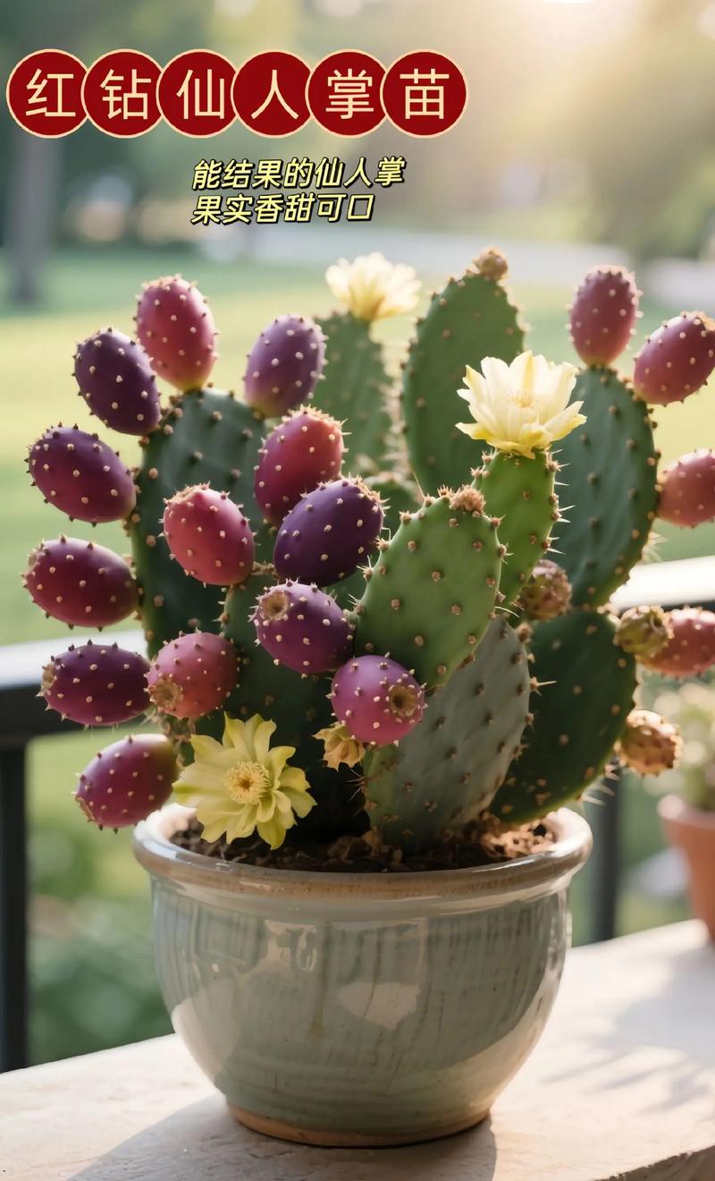 仙人掌品种有多少?看图识种全攻略?-图3 仙人掌品种有多少?看图识种全攻略?-图3