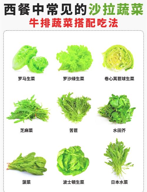 生菜品种有哪些?看图识名?-图1 生菜品种有哪些?看图识名?-图1