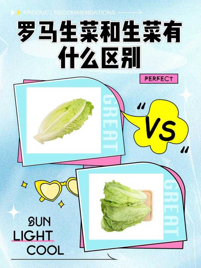 生菜品种有哪些?看图识名?-图3 生菜品种有哪些?看图识名?-图3