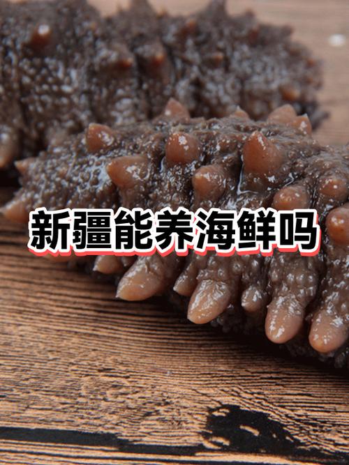 新疆海鲜批发市场最新价格是多少？-图1