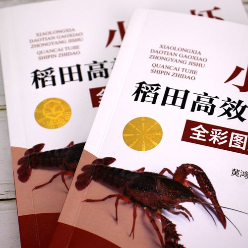 龙虾稻田养殖最新技术有哪些要点?-图1 龙虾稻田养殖最新技术有哪些要点?-图1