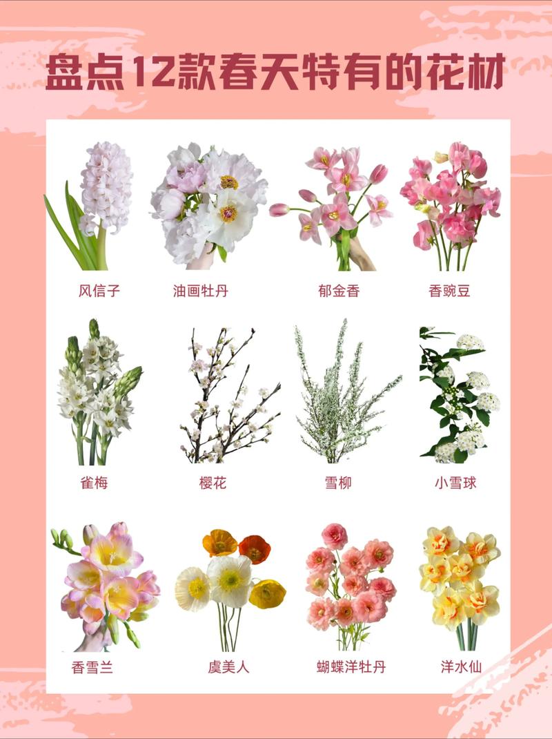 花品种图片及名称大全有哪些常见花？-图2