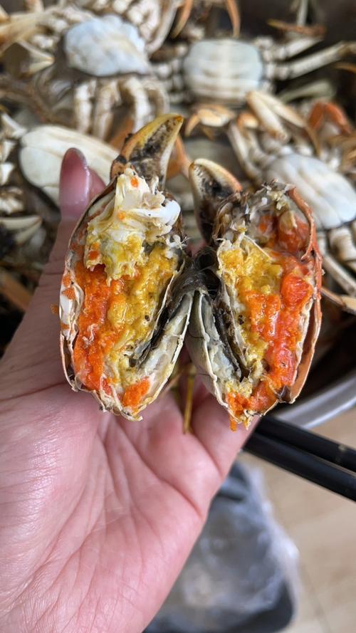 盘锦河蟹批发价格多少-图2