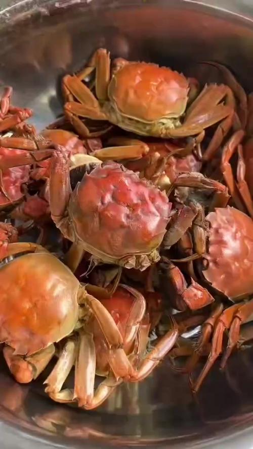 盘锦河蟹批发价格多少-图3