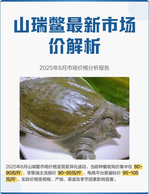 2025年甲鱼价格会涨还是跌?-图1 2025年甲鱼价格会涨还是跌?-图1