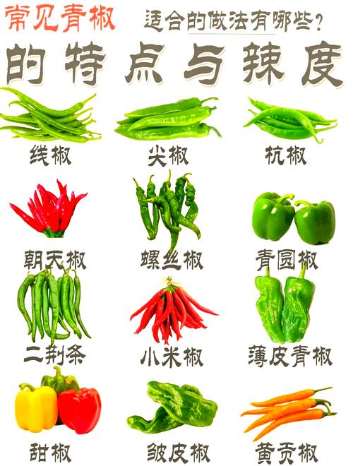 辣椒品种名称与图片如何快速对应?-图1 辣椒品种名称与图片如何快速对应?-图1