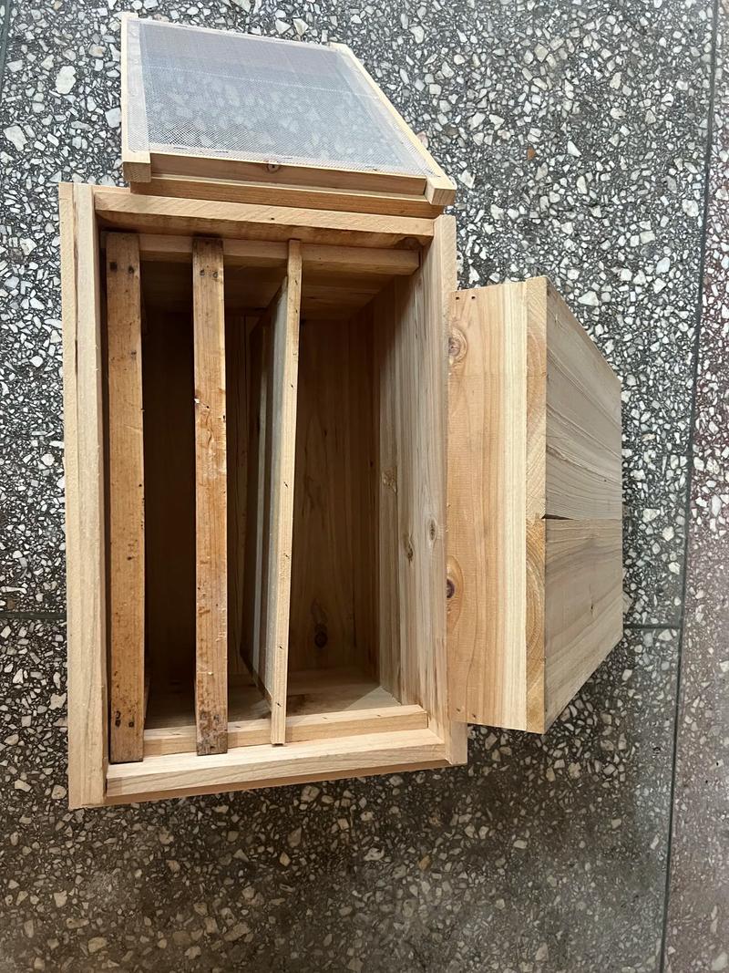 中蜂分箱技术关键步骤有哪些?-图1 中蜂分箱技术关键步骤有哪些?-图1