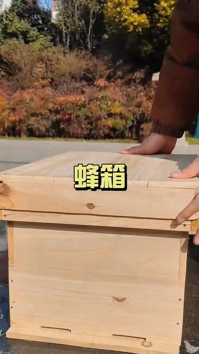 中蜂分箱技术关键步骤有哪些?-图2 中蜂分箱技术关键步骤有哪些?-图2