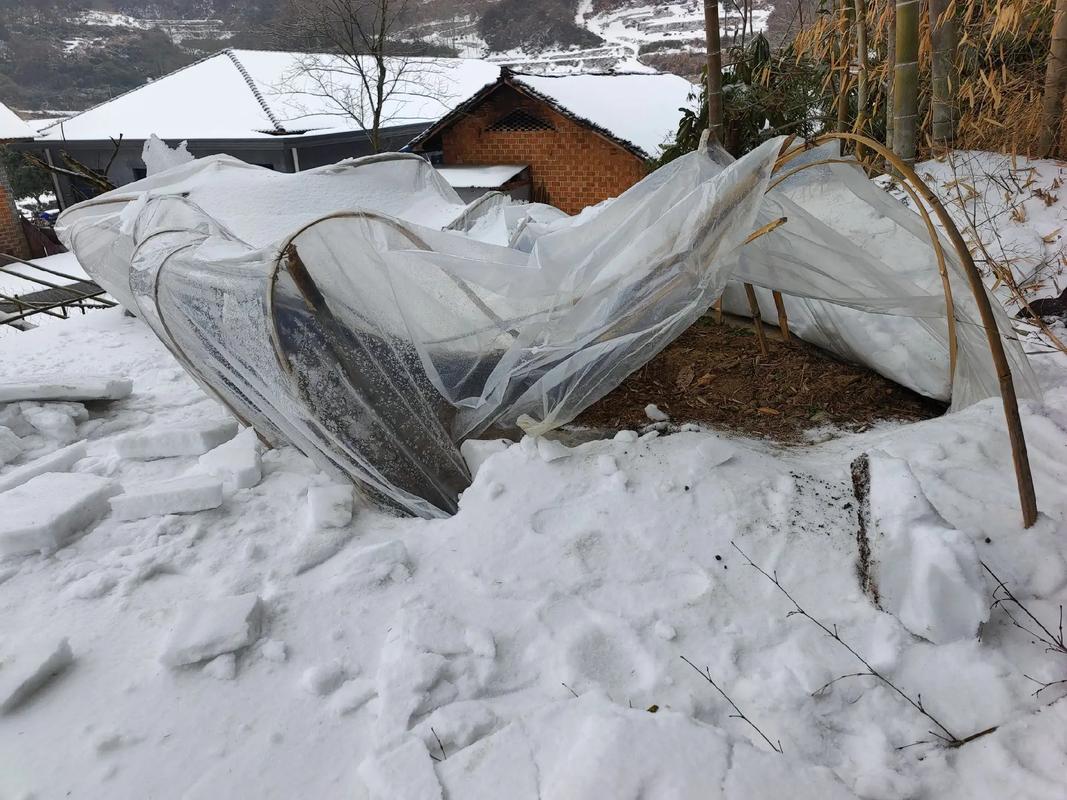 雪中布棚价格多少？-图1