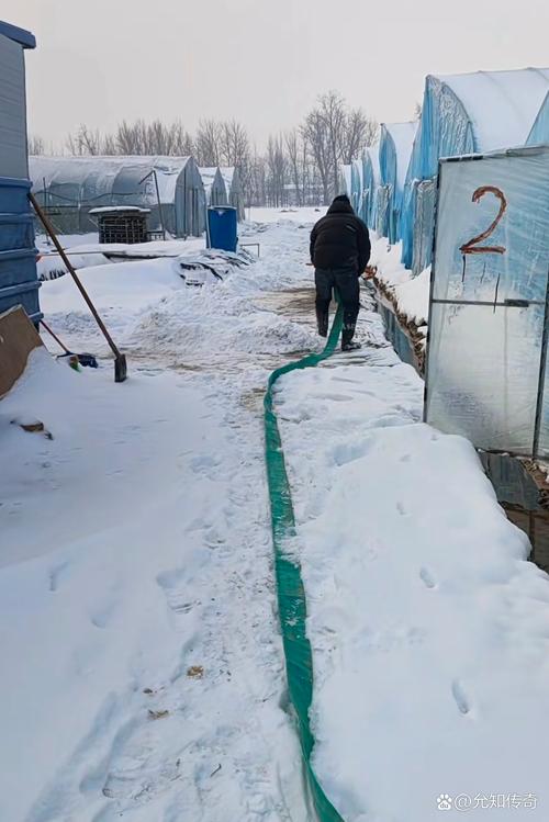 雪中布棚价格多少？-图3