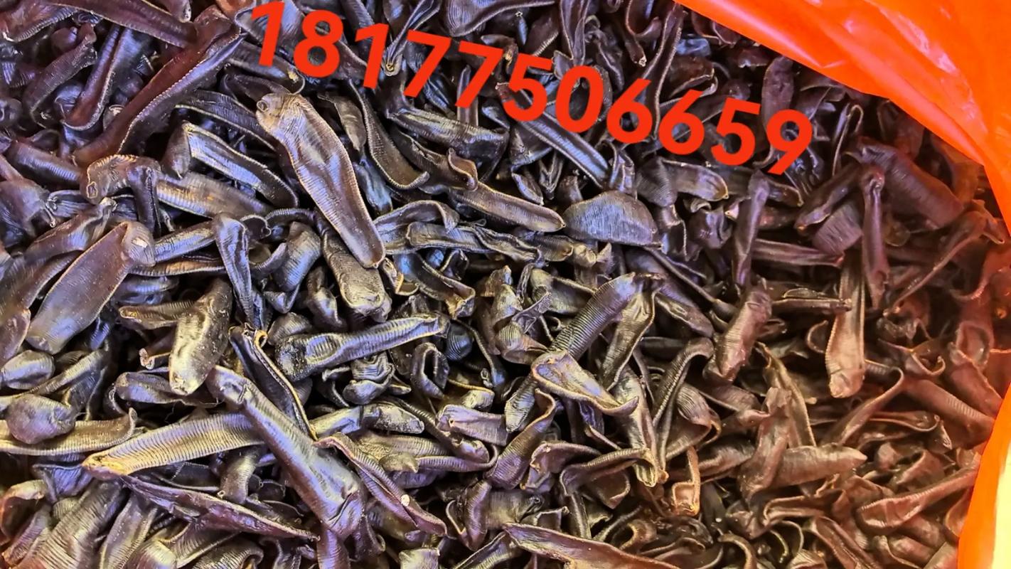 水蛭价格近期走势如何?-图1 水蛭价格近期走势如何?-图1