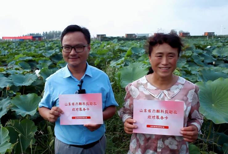 藕田龙虾怎么养？技术要点有哪些？-图3