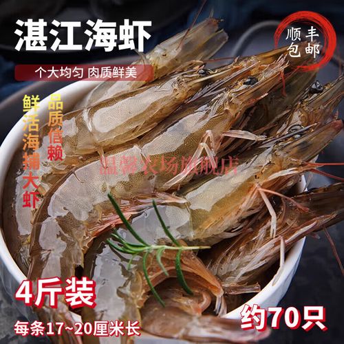 湛江今日白虾价格多少？-图3