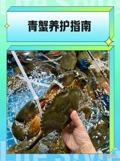 螃蟹青虾养殖技术视频怎么学？-图2