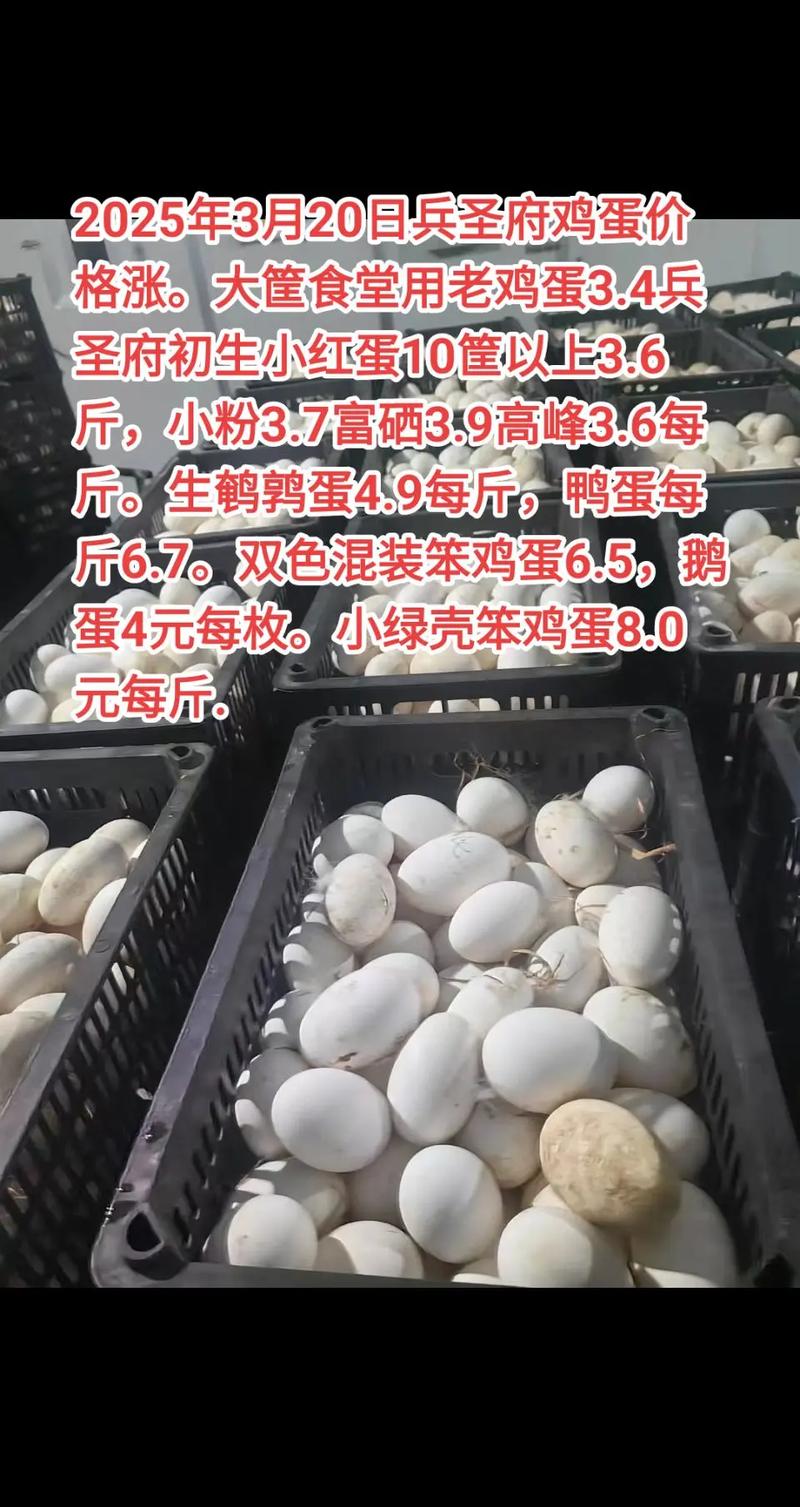 辽宁鸡蛋产地批发价格多少钱一斤？-图2