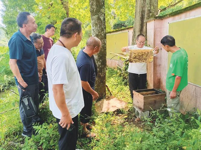 中蜂秋季管理有哪些关键技术？-图2