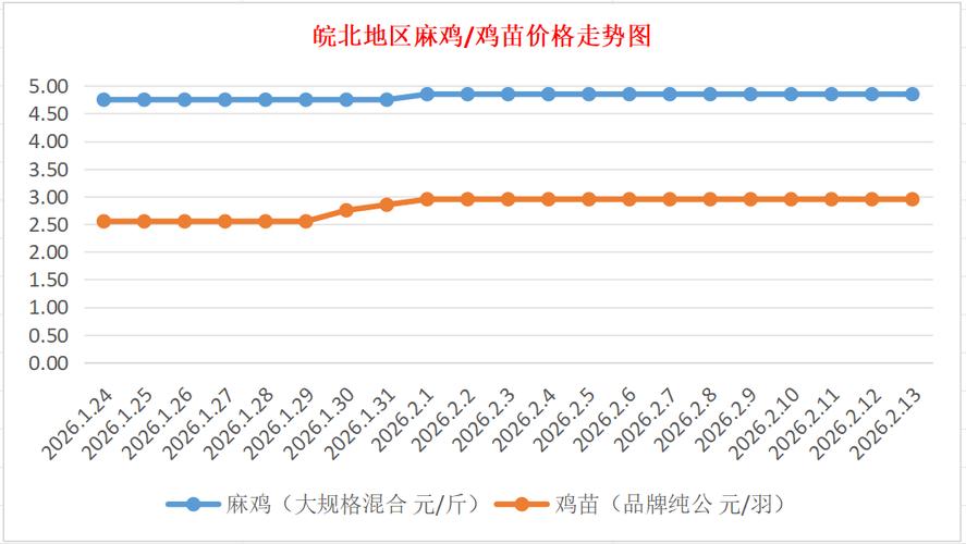 安徽今日麻鸡价格行情如何？-图1