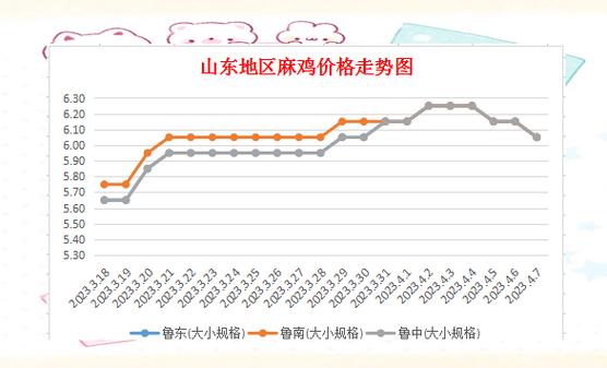 安徽今日麻鸡价格行情如何？-图3