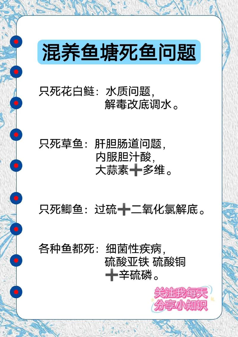 池塘鱼鸭混养，如何平衡共生与效益？-图3