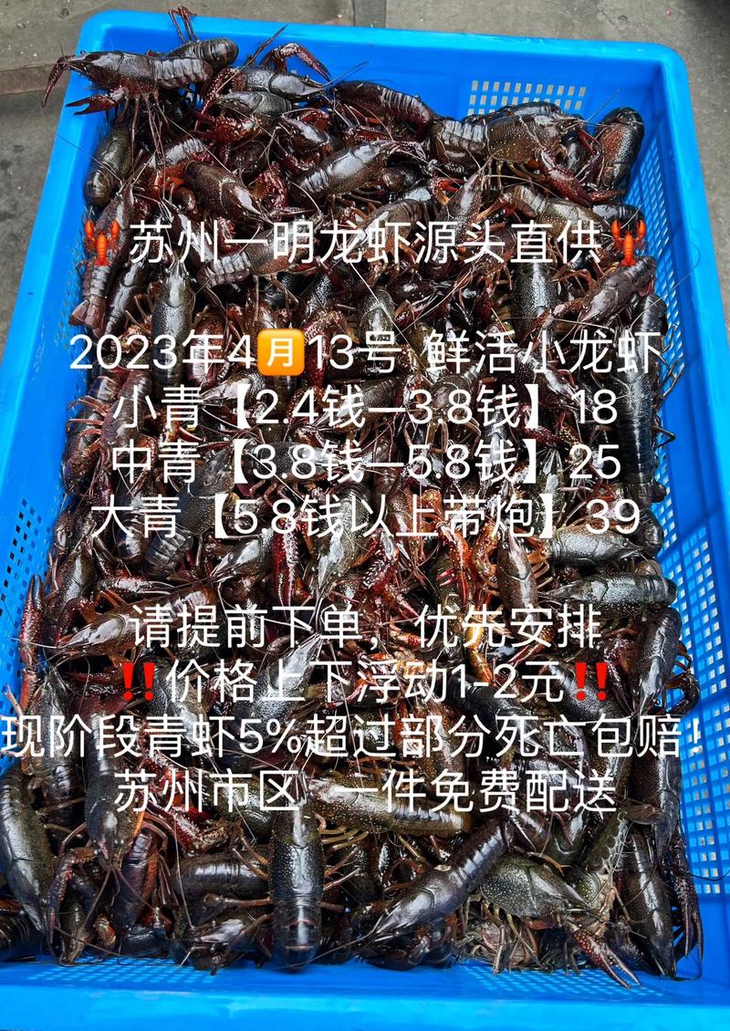苏州龙虾市场批发价格-图1