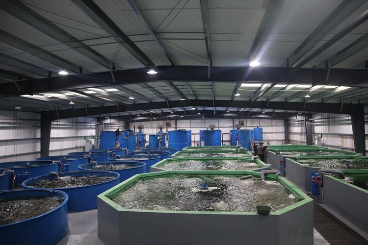 农广天地流水养鱼技术怎么学？-图2