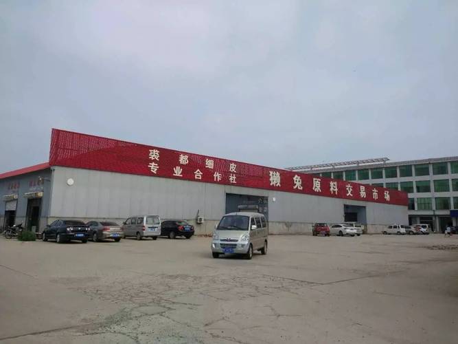 尚村獭兔最新行情如何？-图2