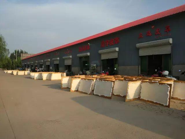 尚村獭兔最新行情如何？-图3