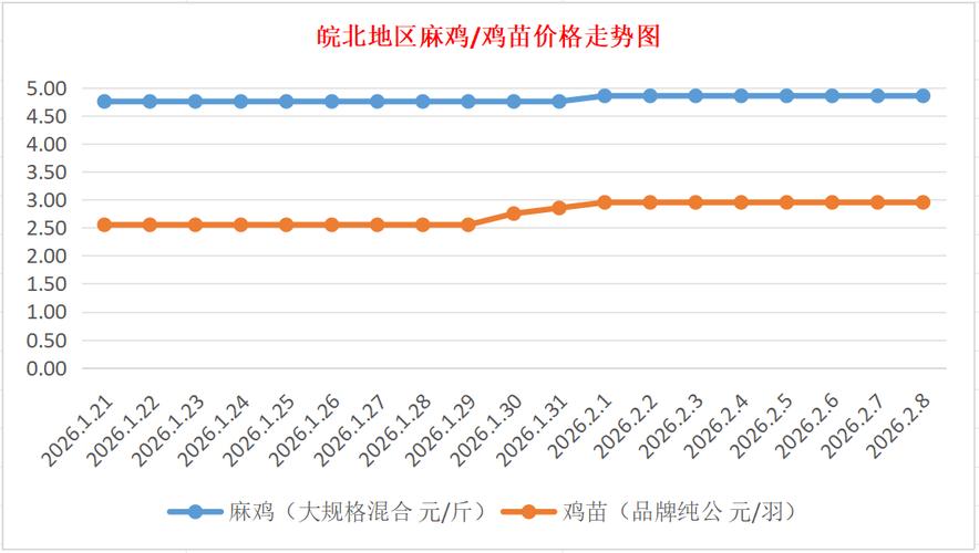 河北省817毛鸡价格-图2