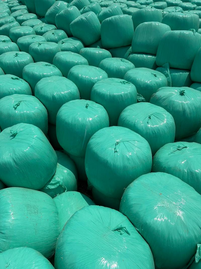 玉米秸秆青贮袋装技术要点有哪些？-图1