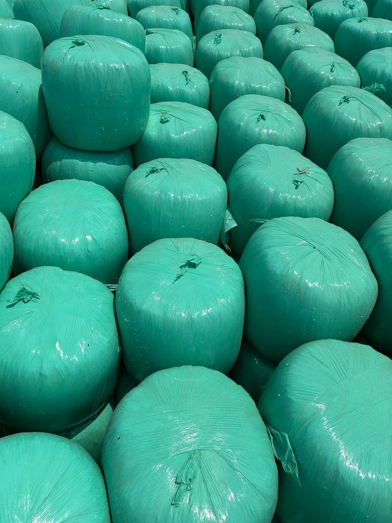 玉米秸秆青贮袋装技术要点有哪些？-图2