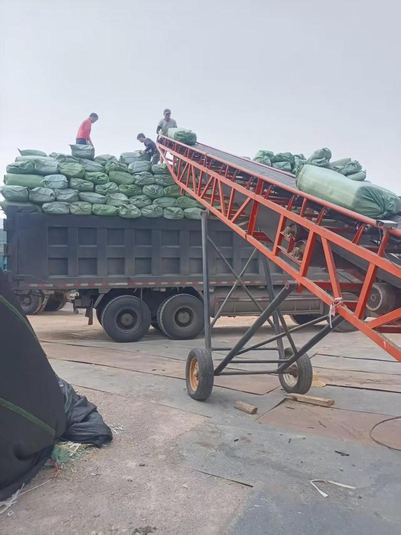 玉米秸秆青贮袋装技术要点有哪些？-图3