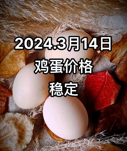山东4月6日鸡蛋价格多少钱一斤？-图2