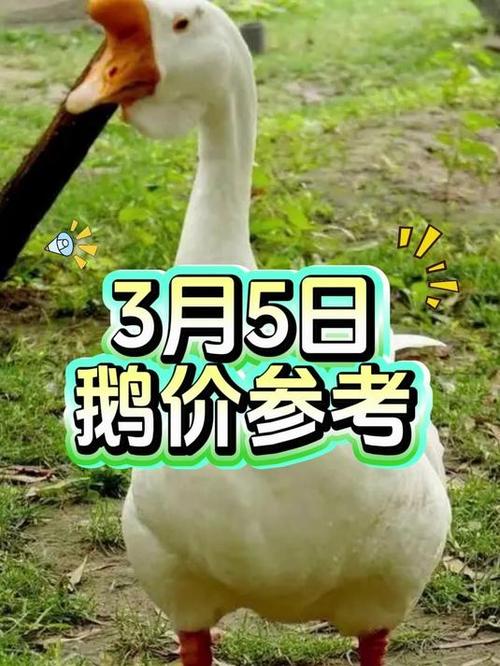 2025成品鹅的价格-图1 2025成品鹅的价格-图1