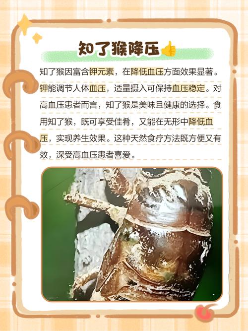 知了养殖技术视频大全-图2