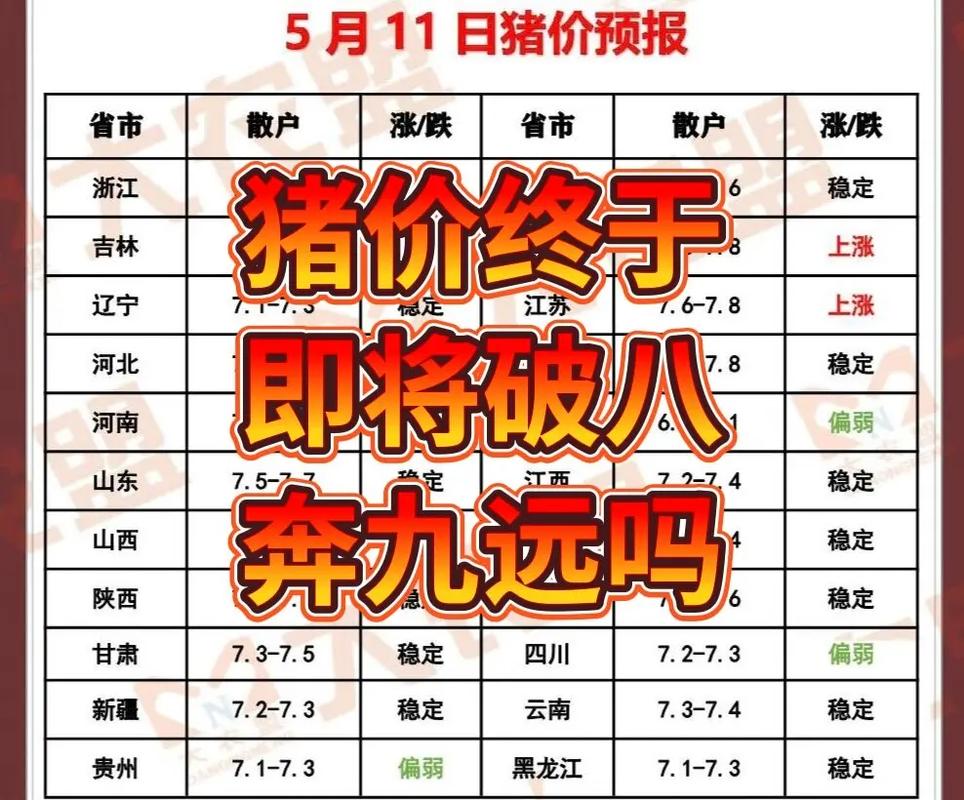 河南今日生猪价格多少钱一斤？-图1