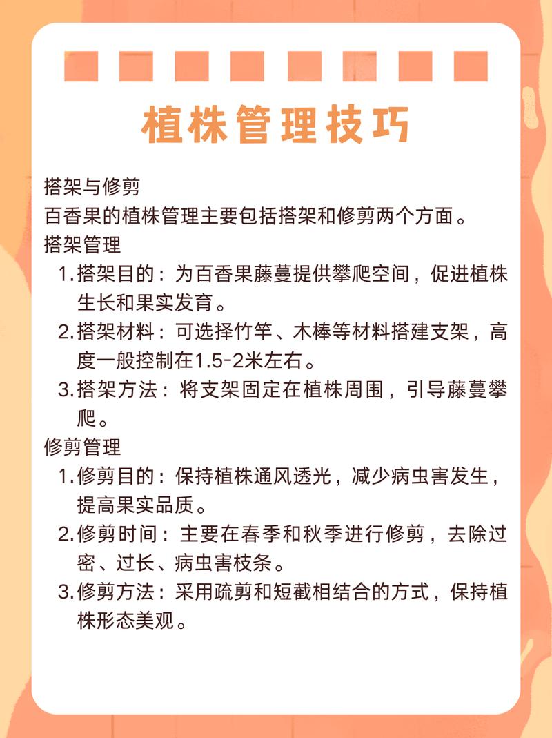 百香果高产种植管理技术有哪些要点?-图1 百香果高产种植管理技术有哪些要点?-图1
